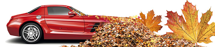 Autowäsche im Herbst